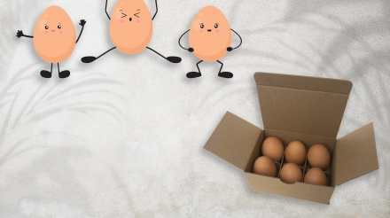 کارتن محصولات پروتئینی