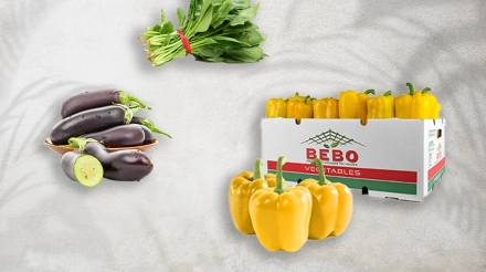 کارتن صیفی جات